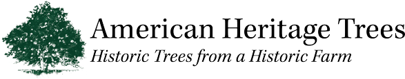 Logo - Link to American Heritage Trees homepage