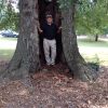 Water Oak - Image 3